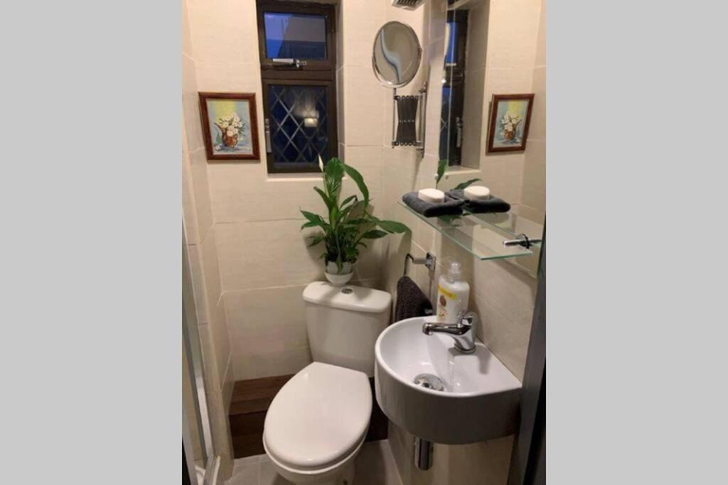 Upstairs Studio - Private Kitchenette And Small En-Suite Dublin Zewnętrze zdjęcie